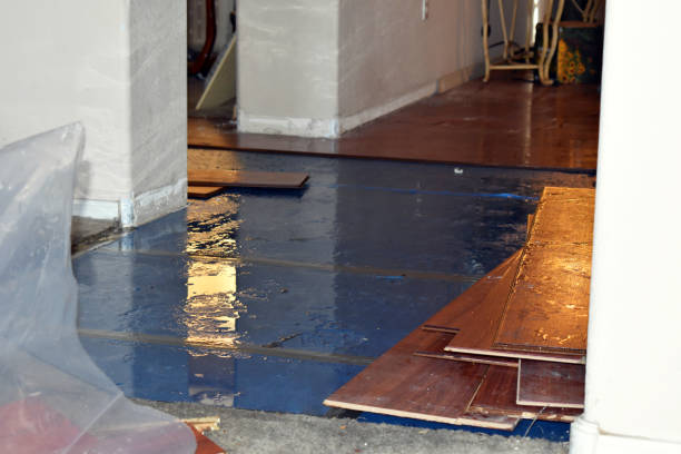 Professional Water Damage Restoration technician working in Flemington, PA